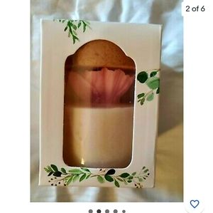 NIB: New in Box Pink Zoet Studio Soy Candle